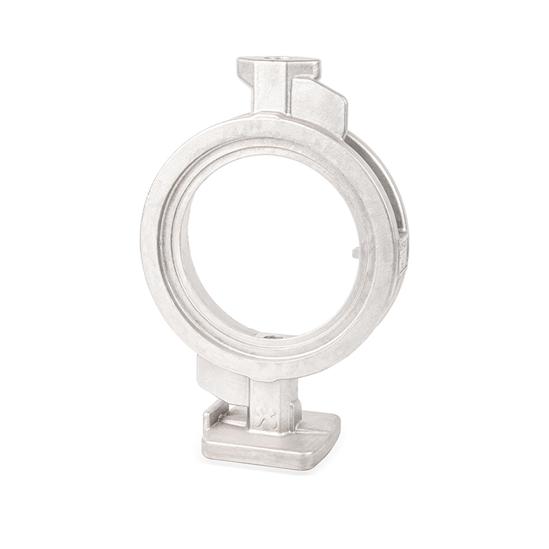 Butterfly valve castings